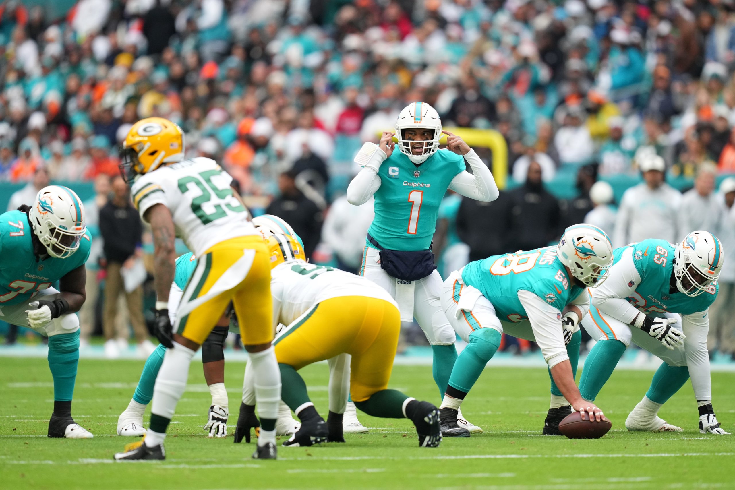 Miami Dolphins Review