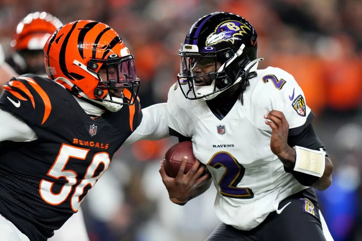 Bengals step up