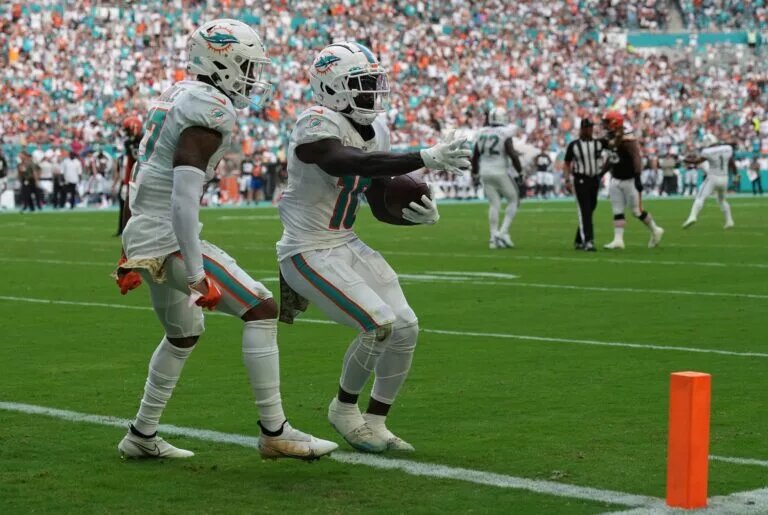 Dolphins Top 50