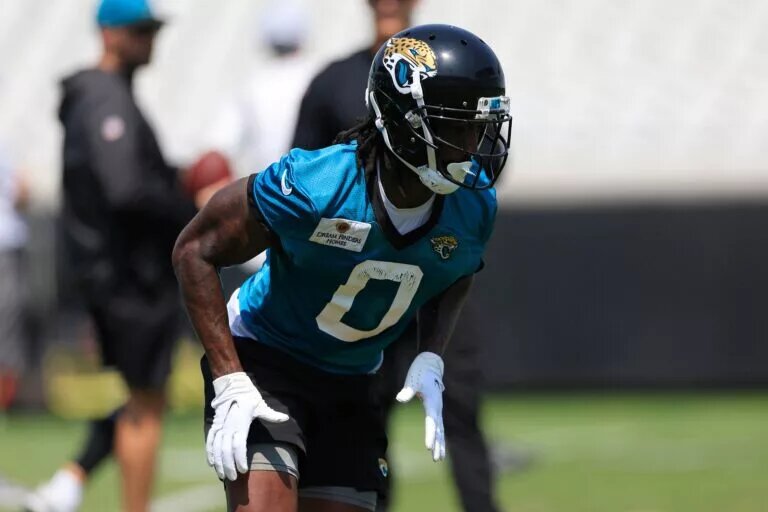Calvin Ridley Fantasy