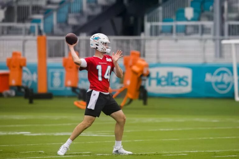 Miami Dolphins Quarterbacks