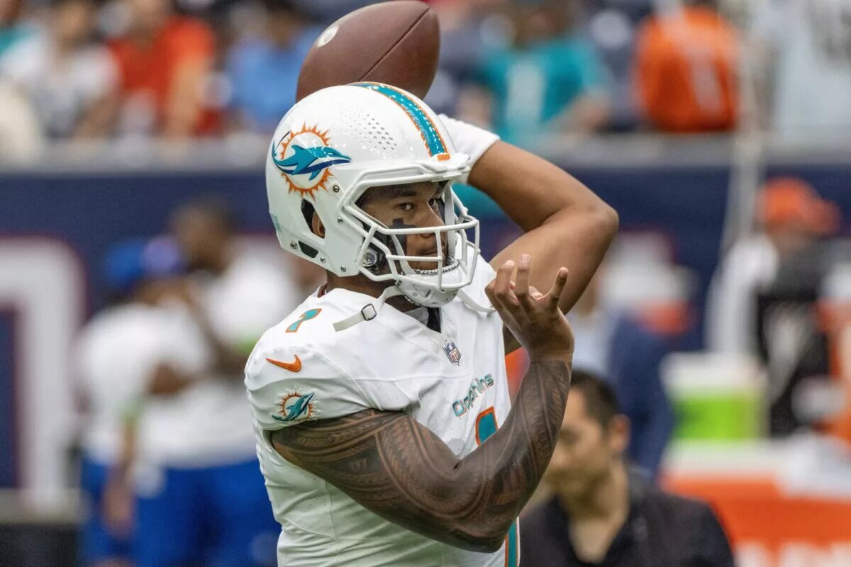 Dolphins Defense