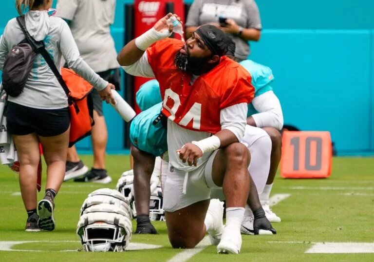Miami Dolphins Defensive Line