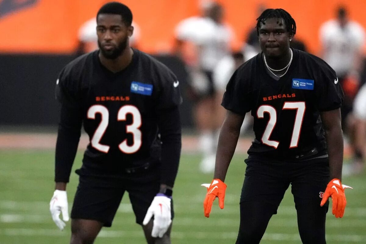 Bengals Safeties