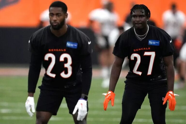 Bengals Safeties