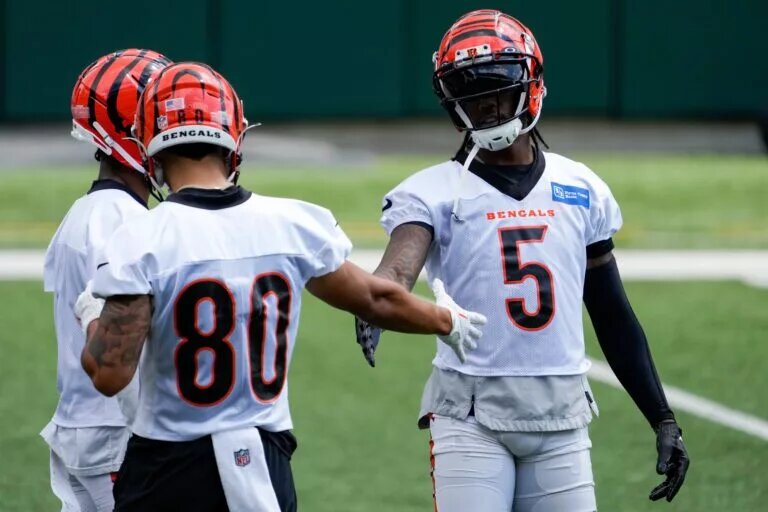 Bengals Receivers