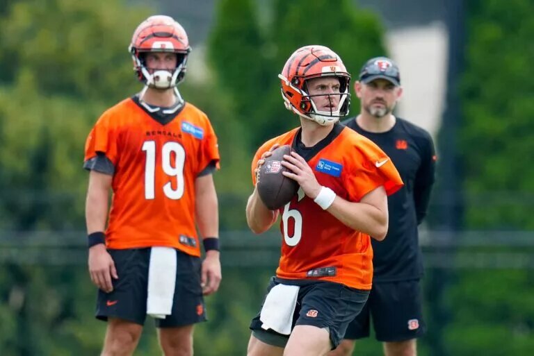 Cincinnati Bengals backup quarterback