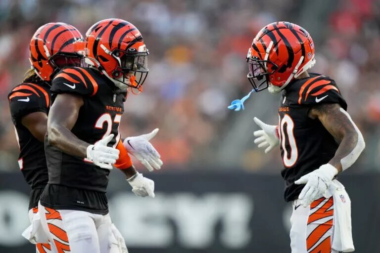 cincinnati bengals young secondary