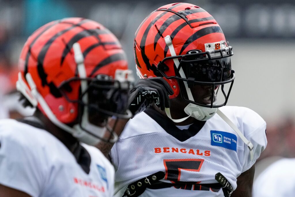 Tee Higgins focused on getting healthy before third season with Cincinnati  Bengals