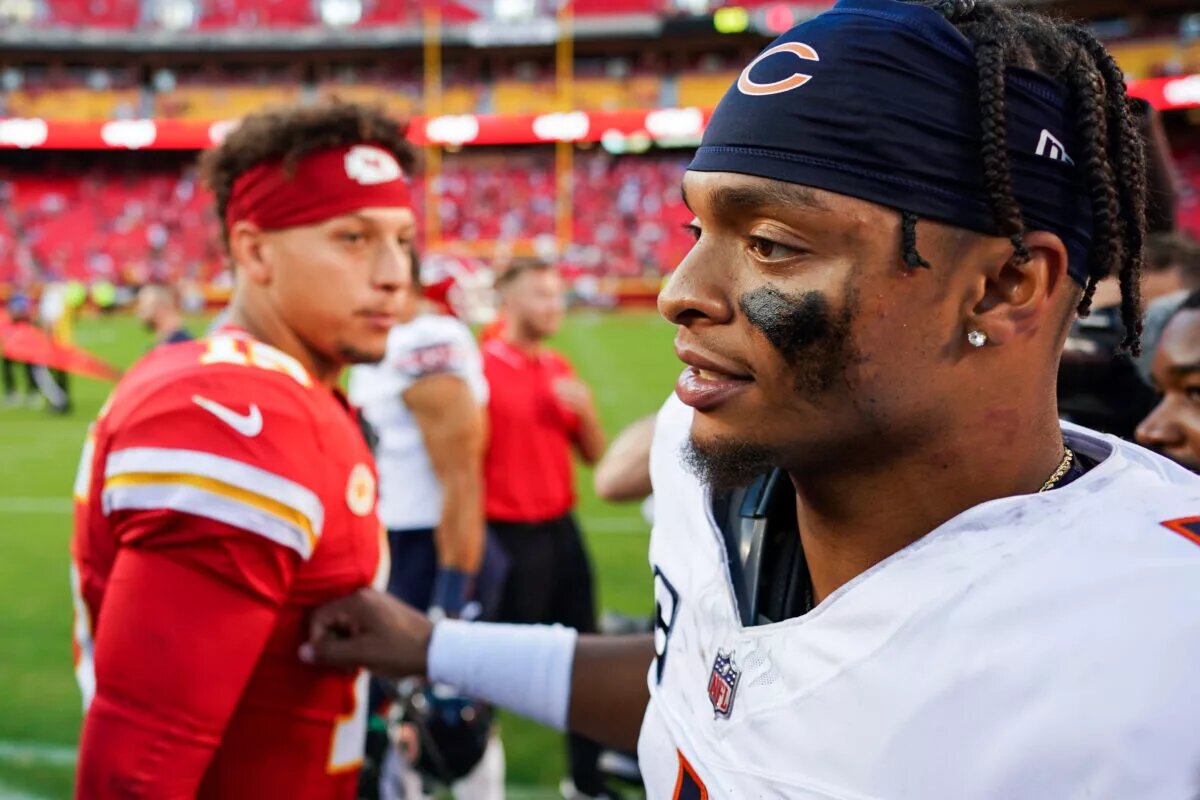 Bears Loss