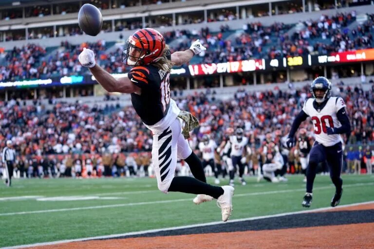 Bengals wide receiver Trenton Irwin