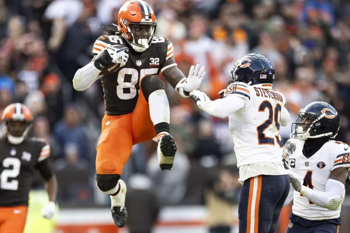 Tight End David Njoku