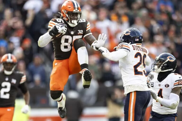 Tight End David Njoku