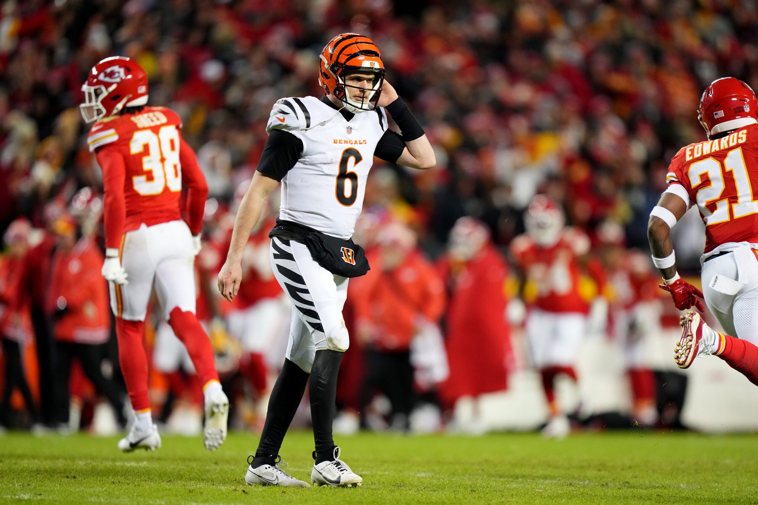 The Cincinnati Bengals Playoff Hopes Are Gone...Now What? Last Word