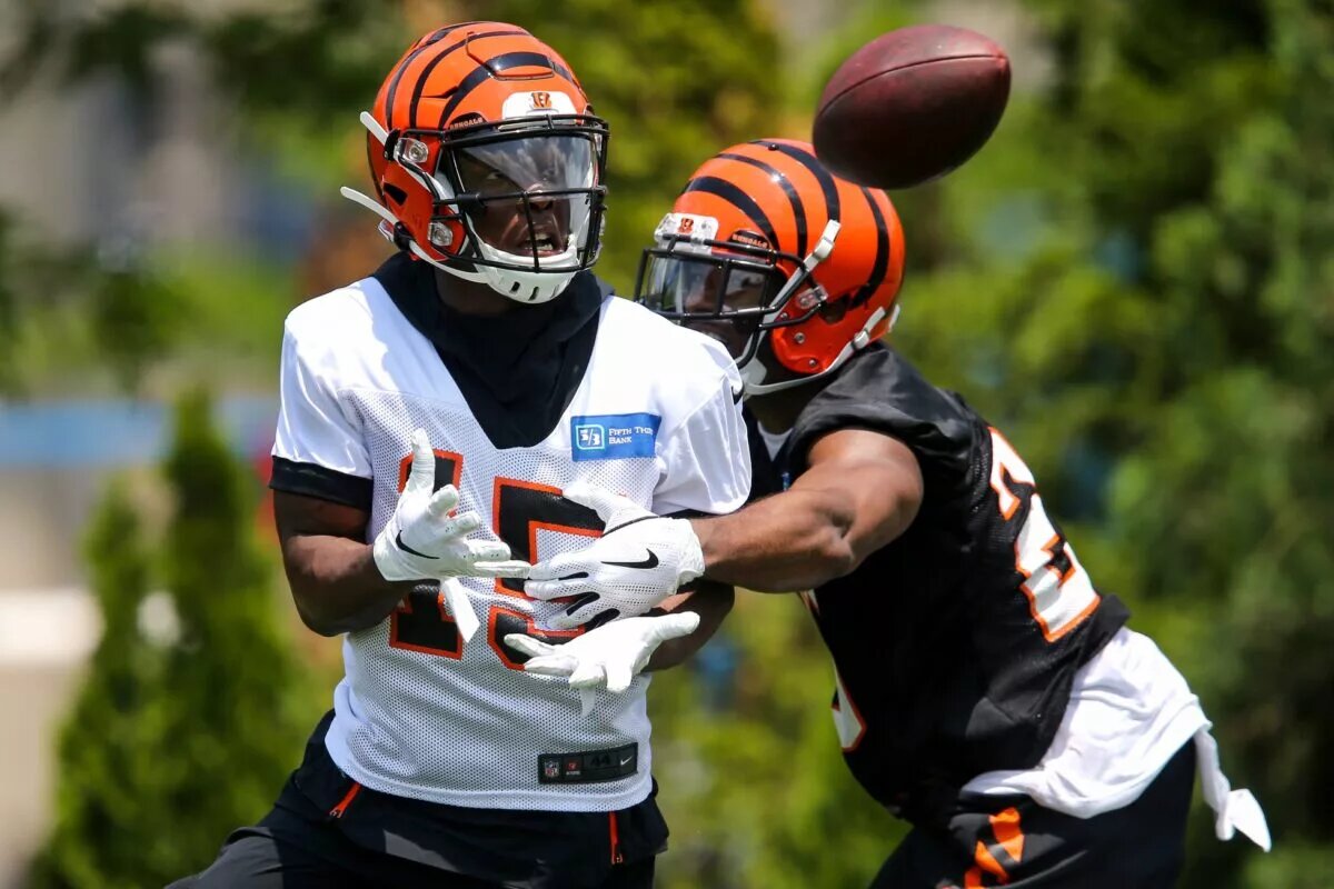 john ross