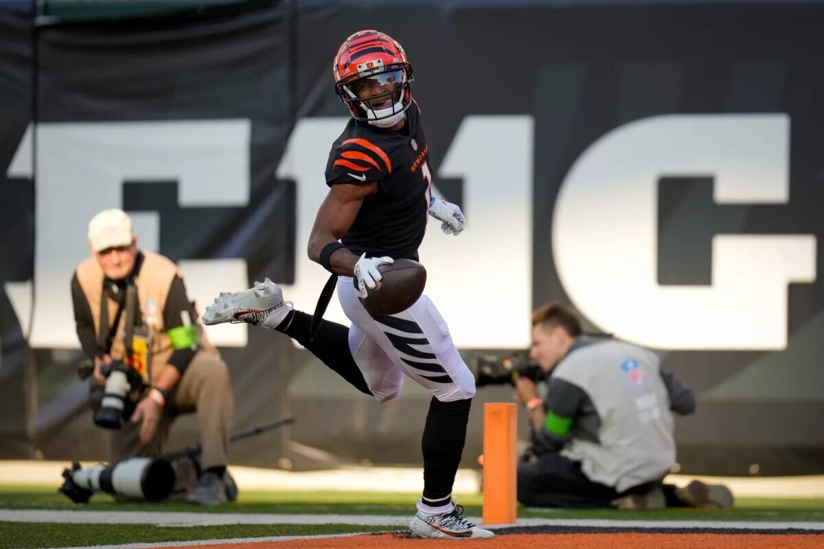 bengals