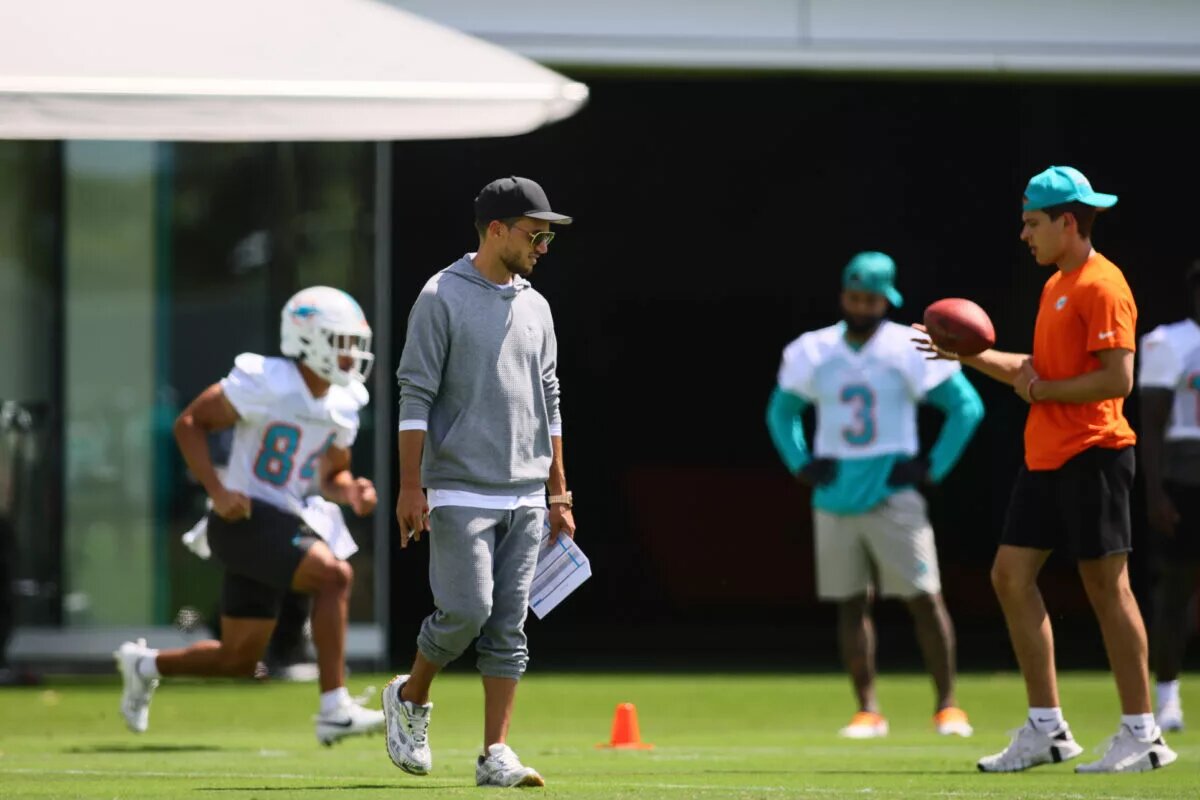 Dolphins News