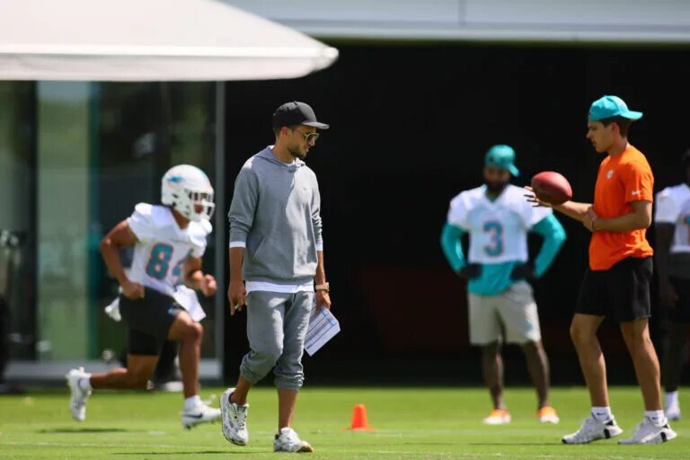 Dolphins News
