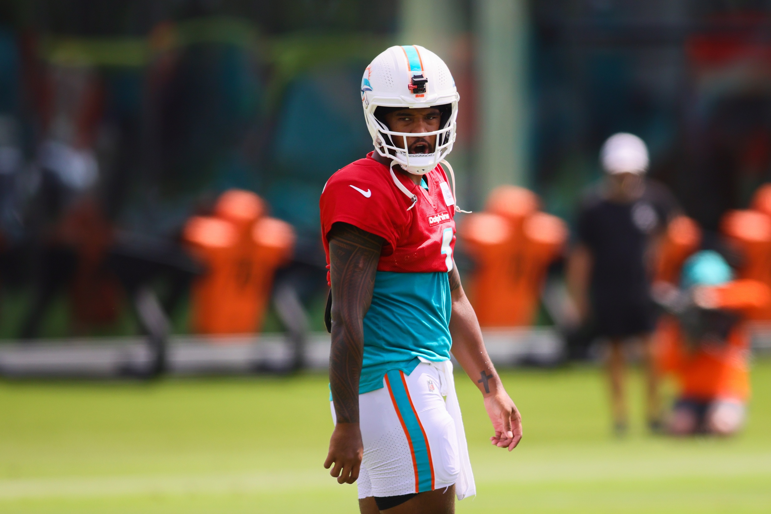 dolphins training camp