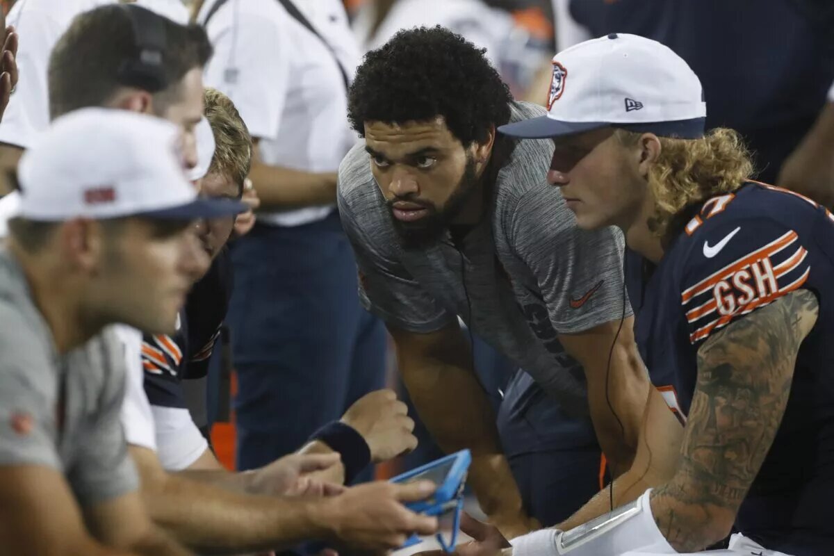 Bears preseason
