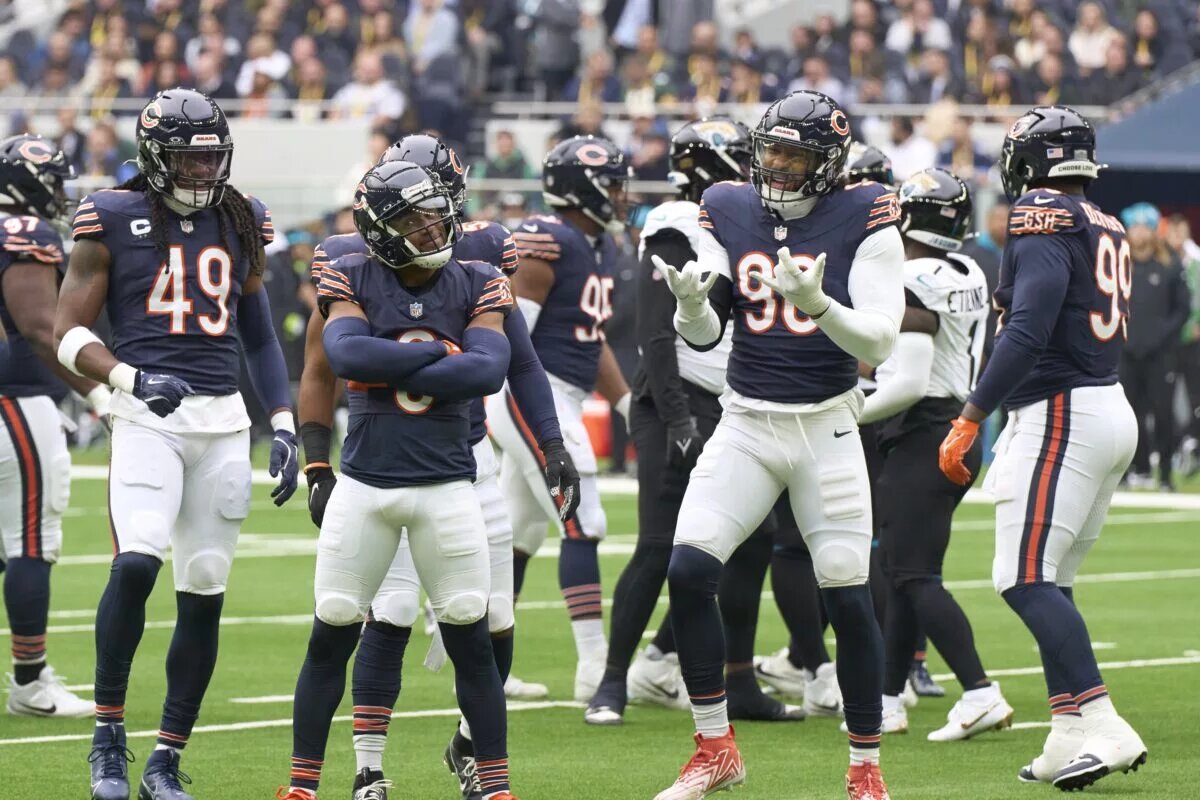 Bears statistics
