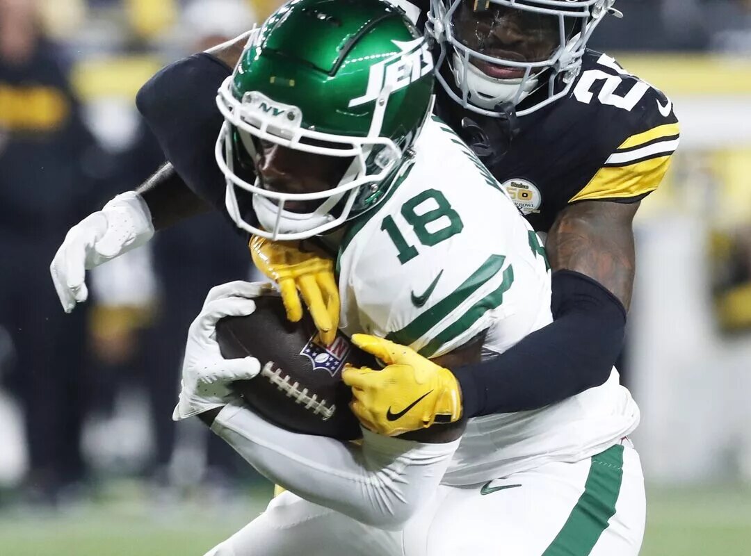 Mike Williams, Pittsburgh Steelers wide receiver