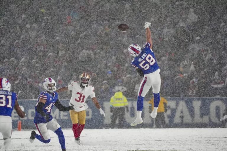 Bills defense