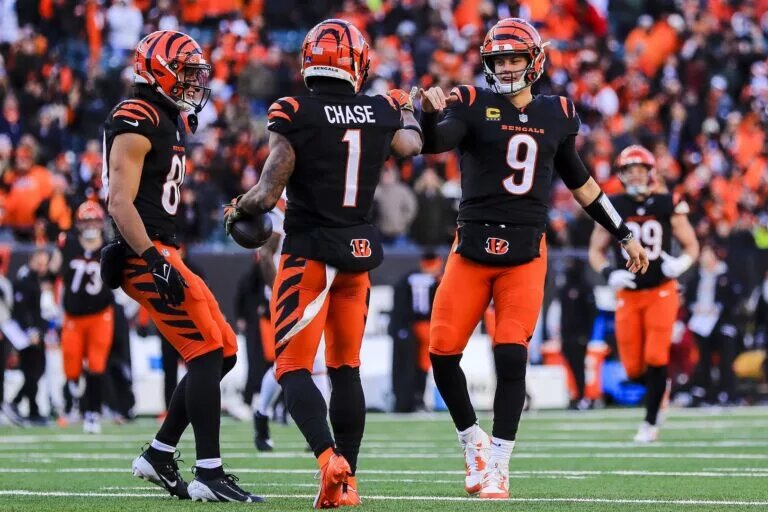 bengals playoffs