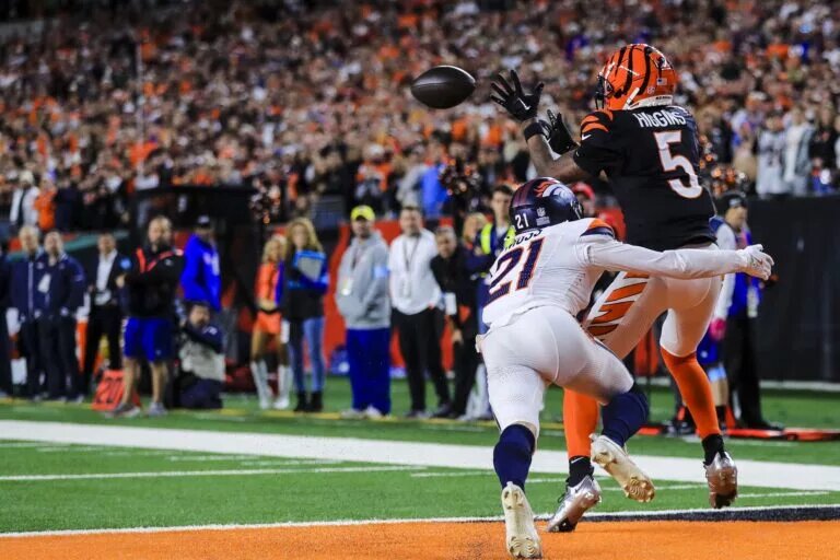 Tee Higgins dynasty outlook