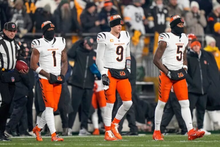 Tee Higgins Franchise Tag