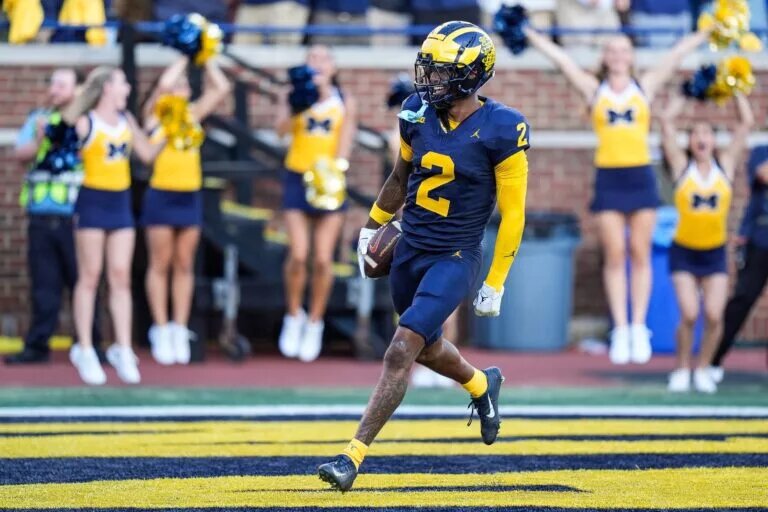 Will Johnson Michigan