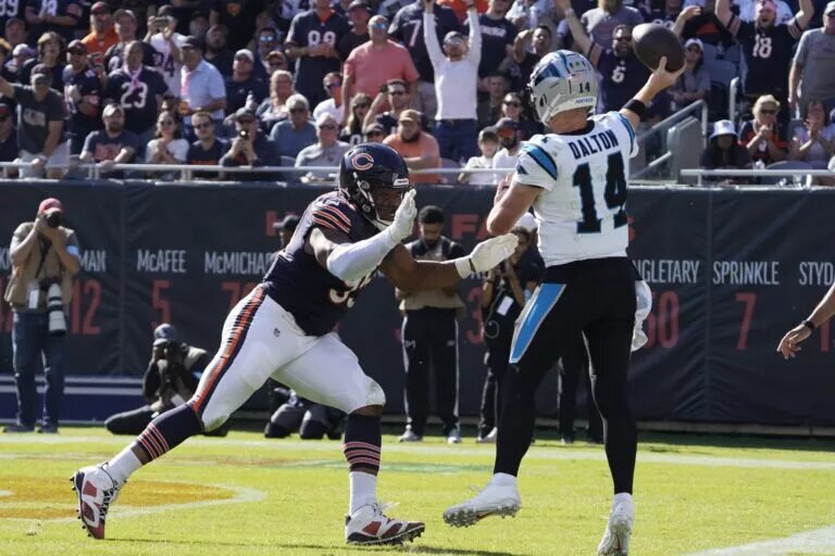 bears release demarcus walker