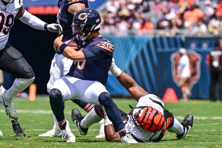 Bears offensive line