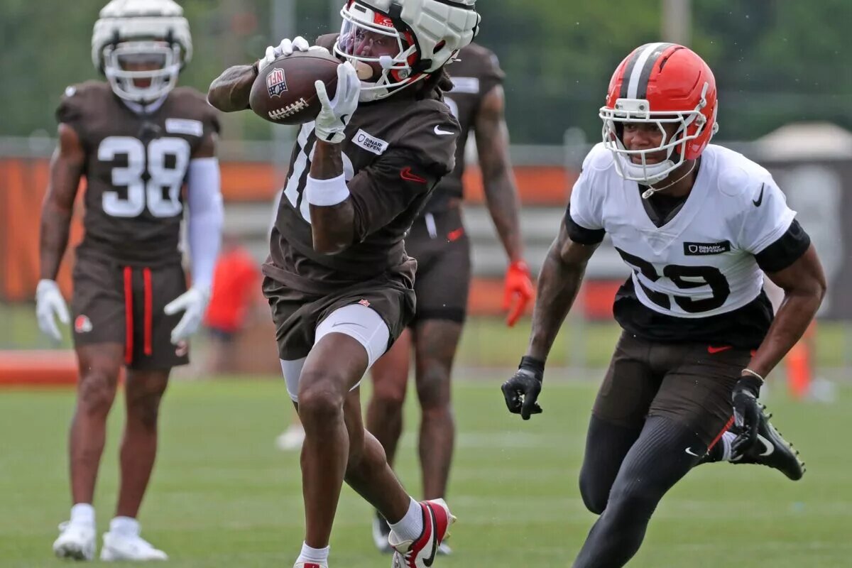 Browns Cut Diontae Johnson