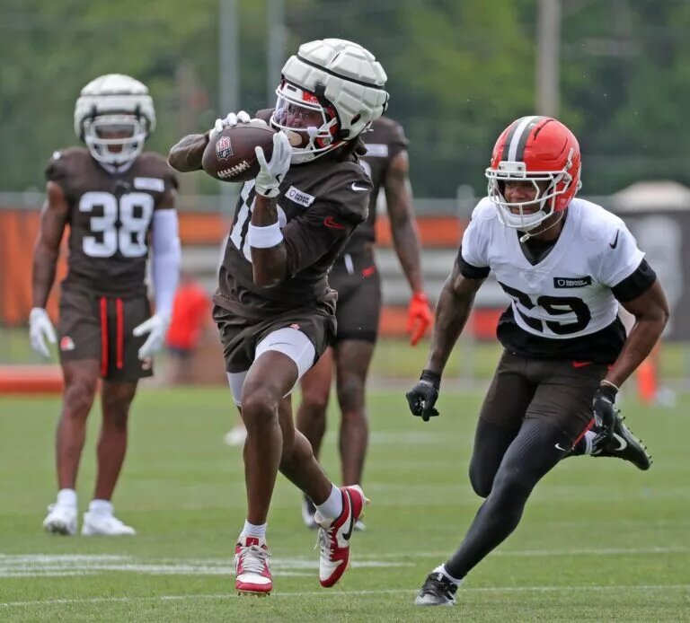 Browns Cut Diontae Johnson