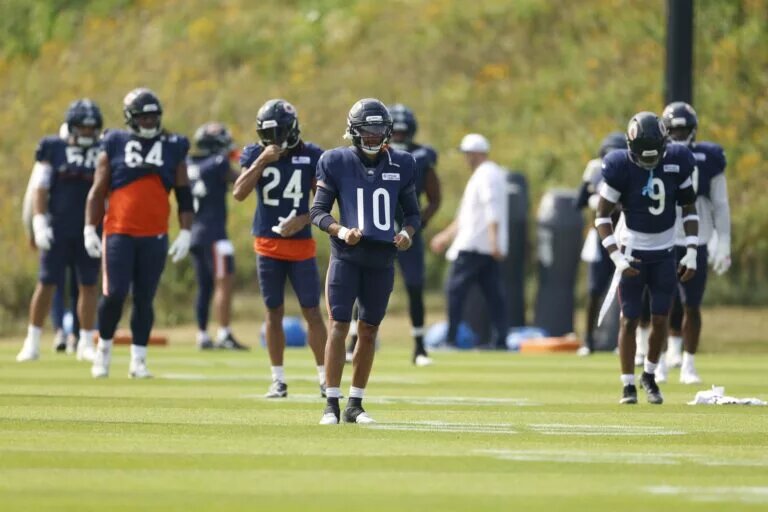 bears cut tyler scott