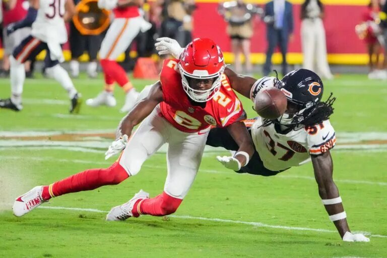 lions veteran