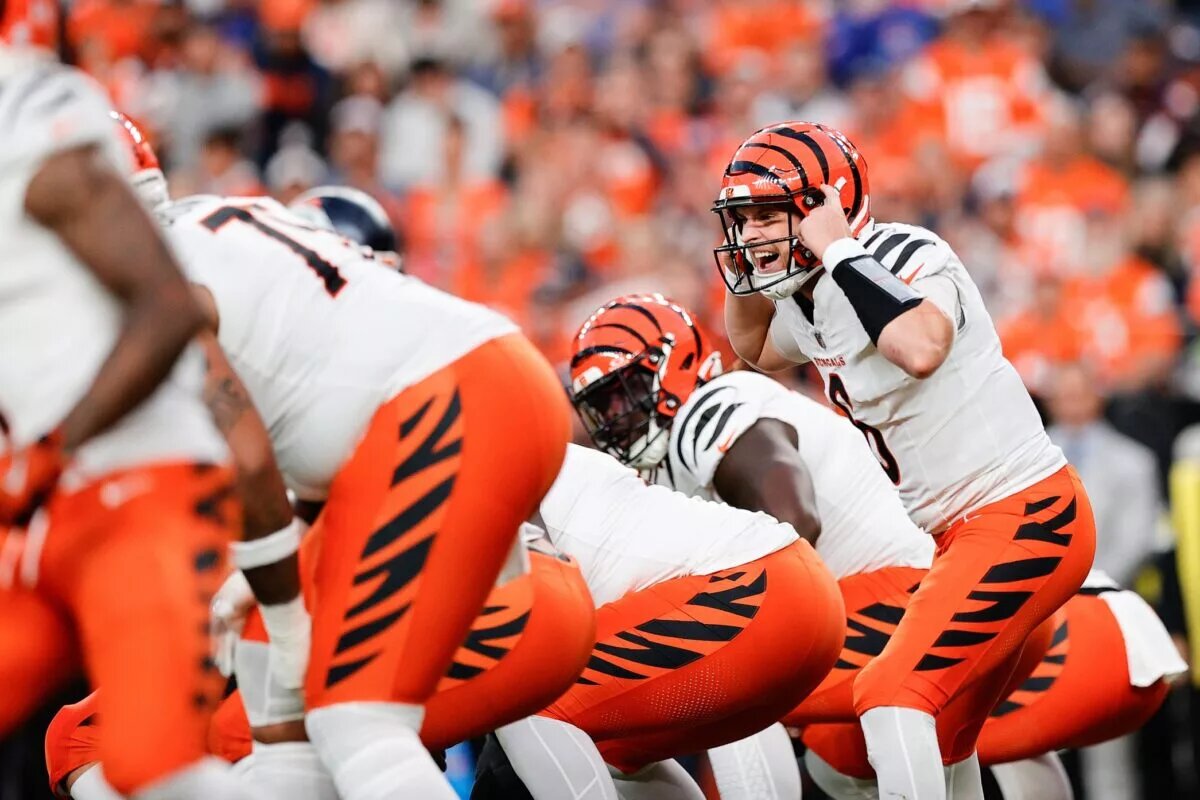bengals offensive line