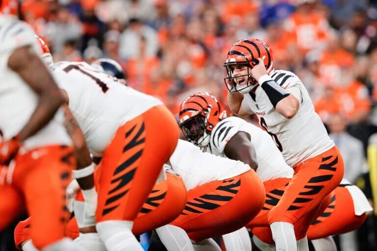 bengals offensive line