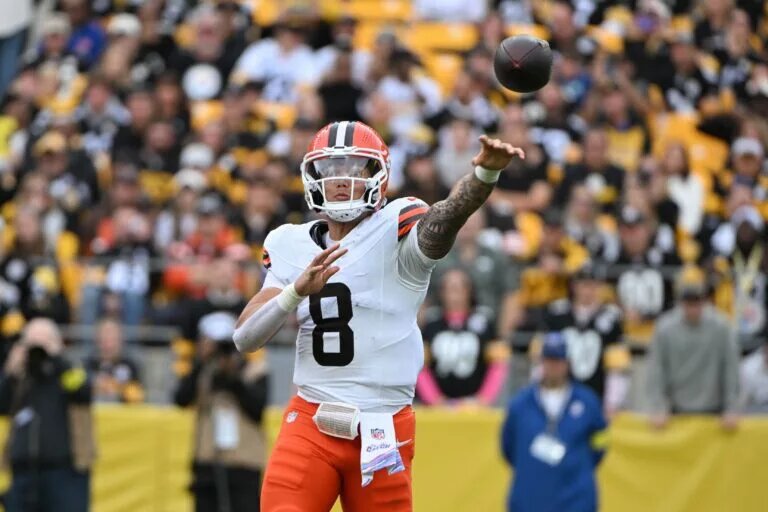 dolphins browns