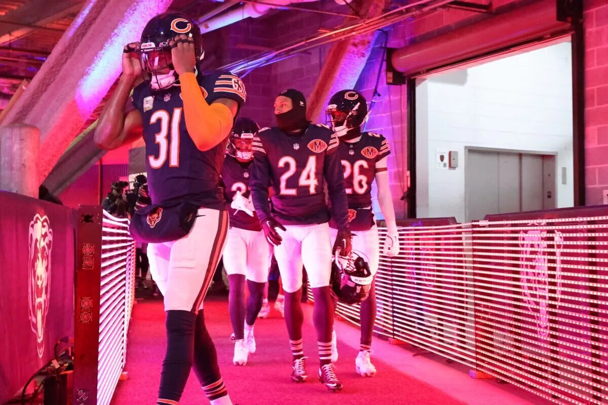 Bears punishment