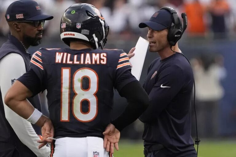 Bears season