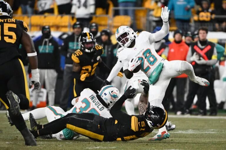 dolphins minkah fitzpatrick