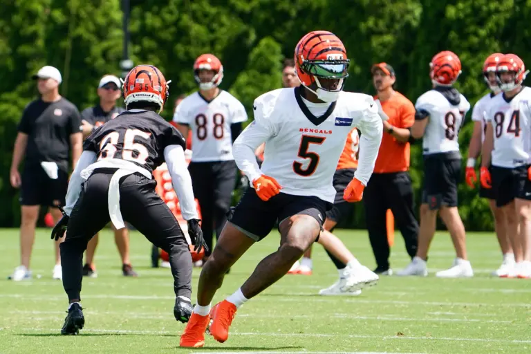 AFC 1000-Yard Receivers