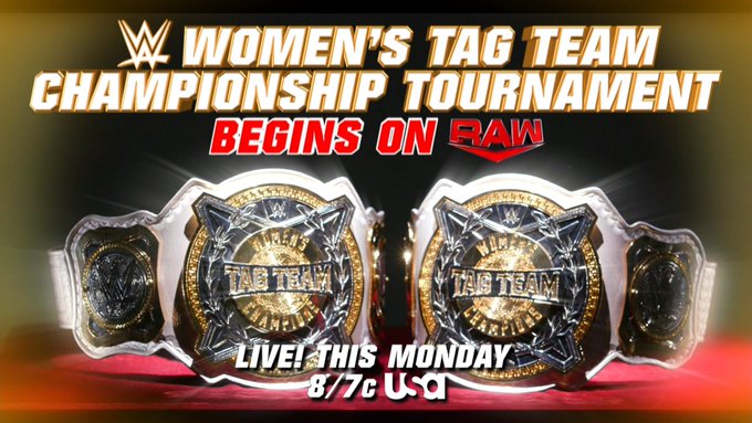 wwe women's tag team champions