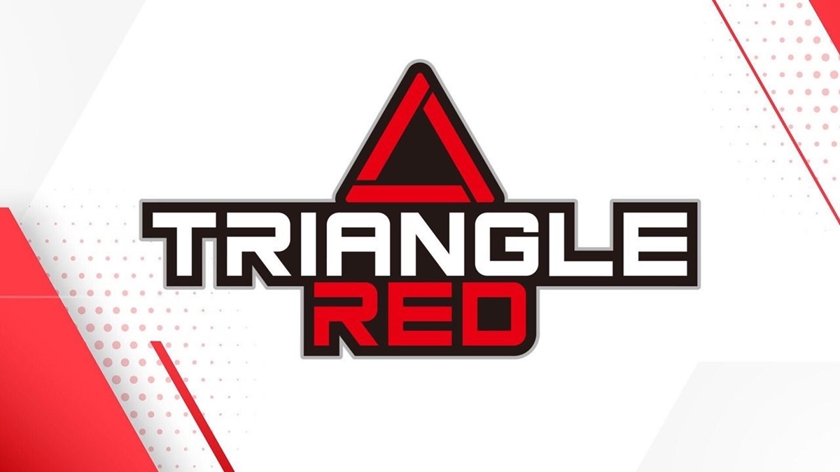 Stardom Triangle Derby red block logo