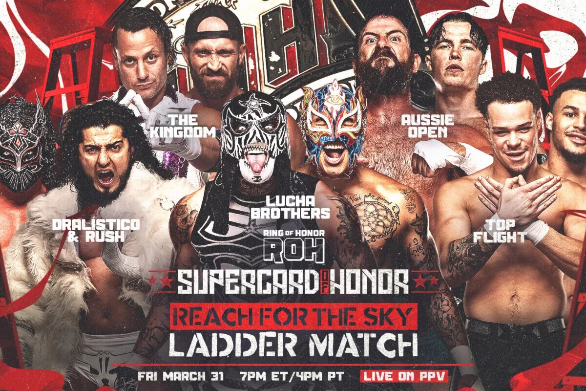 Lucha Brothers: Reach for the Sky graphic