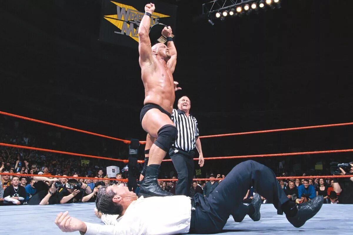 A photo from WWE WrestleMania XV.