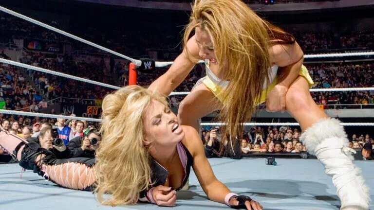 A photo of WWE Divas.