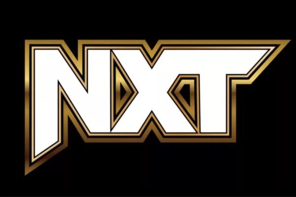 The WWE NXT YouTube Channel – WWE’s Newest Great Idea